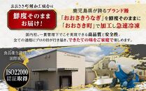 鹿児島県産うなぎ長蒲焼 白焼き・蒲焼セット 合計2尾