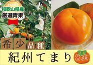 希少品種の柿〇紀州てまり〇8玉入り【2023年10月下旬以降発送】