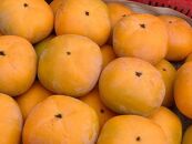 特別栽培 たねなし柿 約4kg 【2024年10月より順次発送】