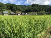 【京都ファーム】令和5年産 京都ファームのコシヒカリ 玄米5kg