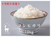 【京都ファーム】令和5年産 京都ファームのコシヒカリ 精米10kg