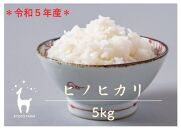 【京都ファーム】令和5年産 京都ファームのヒノヒカリ 精米5kg