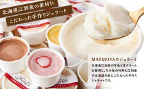 【合計30個】ジェラートおまかせ30種（80ml×30個セット）