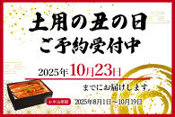 大型サイズ　ふっくら柔らか　国産うなぎ蒲焼き　3尾　化粧箱入［夏土用の丑の日のうなぎ］［10月23日までにお届け］［UT06］