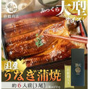 大型サイズ　ふっくら柔らか　国産うなぎ蒲焼き　１尾（約2人前）化粧箱入【秋土用の丑の日のうなぎ】【～10月30日までにお届け】