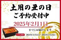 大型サイズ　ふっくら柔らか　国産うなぎ蒲焼き　１尾（約2人前）化粧箱入【土用の丑の日のうなぎ】【2025年2月1日までにお届け】【UT04】