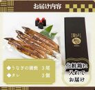 大型サイズ　ふっくら柔らか　国産うなぎ蒲焼き　3尾　化粧箱入【土用の丑の日のうなぎ】【～7月24日までにお届け】【UT06】