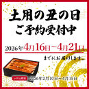 大型サイズ　ふっくら柔らか　国産うなぎ蒲焼き　１尾（約2人前）化粧箱入［春土用の丑の日のうなぎ］［～4月21日までにお届け］［UT04］