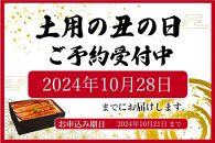 大型サイズ　ふっくら柔らか　国産うなぎ蒲焼き　2尾　化粧箱入【秋土用の丑の日のうなぎ】【～10月28日までにお届け】【UT05】