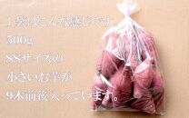 さつまいも 熟成 紅はるか 2.5kg ( 500g × 5袋 ) SSサイズ 鹿児島県産 先行予約 2025年1月より順次発送