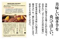 さつまいも 熟成 紅はるか 2.5kg ( 500g × 5袋 ) SSサイズ 鹿児島県産 先行予約 2025年1月より順次発送