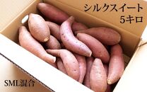 【鹿児島県産】熟成 シルクスイート 5kg (1箱 ) サイズ混合 さつまいも