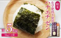 【令和6年産】 化学肥料不使用ハナエチゼン 精米 5kg（5kg×1袋）　/ 米 白米 福井県あわら市産 ブランド米 美味しい 特別栽培米 減農薬 安心な米 旨味 甘み エコファーマー 冷蔵保管米 新米