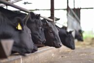 馬追和牛　サーロインステーキ（200g×2枚）