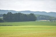 馬追和牛　サーロインステーキ（200g×2枚）