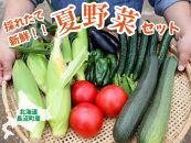 【2024年８月中旬発送】北海道長沼町の夏野菜セット
