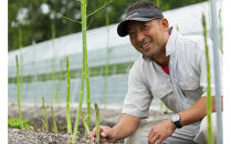 【先行予約】北海道長沼町産・押谷ファームのグリーンアスパラ（L～2L混在&nbsp;800g）2026年5月中旬発送開始予定