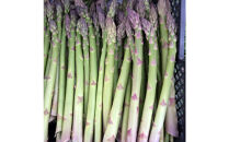 【先行予約】北海道長沼町産・押谷ファームのグリーンアスパラ（L～2L混在&nbsp;800g）2026年5月中旬発送開始予定