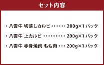 八雲牛 焼肉セット 総重量600g 【 牛肉 肉 北海道 八雲町 年内発送 年内配送  】