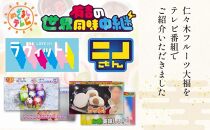 【仁々木】祇園ぽっちり 12個入（フルーツ大福/祇をんににぎ）［ 京都 祇園 スイーツ お菓子 人気 おすすめ フルーツ 果物 くだもの おいしい 可愛い いちご あまおう ぶどう 栗 ギフト プレゼント 贈答 お取り寄せ ］ 