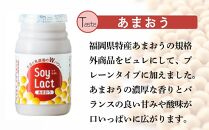 乳酸菌醗酵豆乳「ソイラクト」100ml×4本×3種（プレーン・あまおう・八女抹茶）【乳酸菌 醗酵 豆乳 大豆 ドリンク 飲料 ソフトドリンク 人気 おすすめ 送料無料 福岡県 筑前町 DS002】