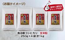 玄米粉 250g×4袋 計1kg 魚沼産 コシヒカリ 玄米 白米粉 グルテンフリー 小麦不使用 GABA アレルギー お取り寄せ パン ケーキ 菓子 ギフト 送料無料 コパフーズ 新潟県 南魚沼市