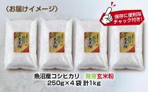 魚沼産 コシヒカリ 発芽玄米粉 250g×4袋 計1kg  玄米  グルテンフリー 小麦不使用 アレルギー GABA お取り寄せ 菓子 パン ケーキ ギフト 送料無料 コパフーズ 新潟県 南魚沼市