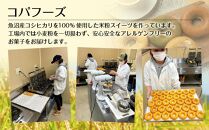 新潟県産 パンケーキ ミックス 玄米粉 200g×10袋 計2kg ホットケーキ 小麦不使用 アレルギー グルテンフリー アルミフリー お取り寄せ ケーキ 菓子 コパフーズ 新潟県 南魚沼市