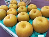 【先行受付】≪9～10月発送≫深澤果樹園さんの梨ギフト［豊水］5kg　