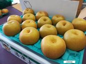【先行受付】≪9～10月発送≫深澤果樹園さんの梨ギフト［豊水］5kg　