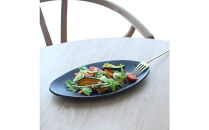 匠&nbsp;－TAKUMI－&nbsp;【信楽焼】楕円プレート（ブラック）&nbsp;２枚セット　mu-004