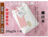 魚沼産コシヒカリ　苗場プリンセス　特別栽培米　農薬化学肥料５割減　精米20kg（5kg×4)