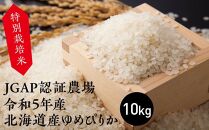 特別栽培米 JGAP認証農場　令和5年産北海道産ゆめぴりか 10kg