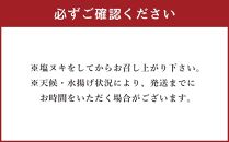 北海道 小樽 前浜産 無添加 無漂白 数の子 【木箱入れ】 カズノコ かずの子 おせち お節 おせち料理 お節料理 正月 縁起物 魚卵 お取り寄せ 冷蔵 小樽市 北海道 送料無料2024年 新物