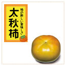＜先行受付＞太秋柿　約4.5kg【2025年9月下旬以降順次発送】
