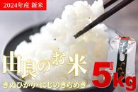 新米 2024年産 令和6年度産 キヌヒカリ にじのきらめき 5kg 和歌山県由良町産