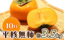 【10・11・12月 全3回】和歌山産 みかんと柿のお楽しみ 定期便 【魚鶴商店】【UT111】