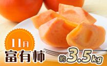 【10・11・12月 全3回】和歌山産 みかんと柿のお楽しみ 定期便 【魚鶴商店】【UT111】