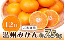 【10・11・12月 全3回】和歌山産 みかんと柿のお楽しみ 定期便 【魚鶴商店】【UT111】