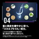 【定期便／全６回】スカルプD　薬用スカルプシャンプー　ストロングオイリー [超脂性肌用]【10月初旬～中旬頃を１回目の配送として配送いたします】