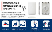 サイトウ・アイロン・ボード&nbsp;アートロン（ARTRON・イエロー）｜高さ調整&nbsp;折りたたみ&nbsp;丈夫&nbsp;アイロン台&nbsp;家事用品｜人気&nbsp;おすすめ&nbsp;送料無料｜神奈川県&nbsp;横浜市