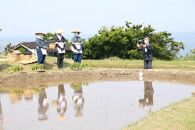 「佐渡の車田植」（国指定 重要無形民俗文化財） 北村家のコシヒカリ3kg （稲穂付き）