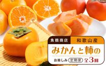 【10・11・12月 全3回】和歌山産 みかんと柿のお楽しみ 定期便 【魚鶴商店】【UT111】
