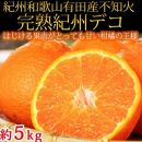 【2・4・6・8・10・12月 偶数月発送 全6回】和歌山産 旬のフルーツ お楽しみ 定期便 【魚鶴商店】【UT113】