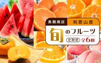 【2・4・6・8・10・12月 偶数月発送 全6回】和歌山産 旬のフルーツ お楽しみ 定期便 【魚鶴商店】【UT113】