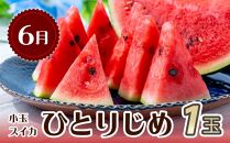 【6・8・10・12月 全4回】和歌山産 旬のフルーツ お楽しみ 定期便 【魚鶴商店】【UT108】