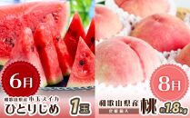 【2・4・6・8・10・12月 偶数月発送 全6回】和歌山産 旬のフルーツ お楽しみ 定期便 【魚鶴商店】【UT113】