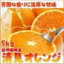 【2・4・6・8・10・12月 偶数月発送 全6回】和歌山産 旬のフルーツ お楽しみ 定期便 【魚鶴商店】【UT113】