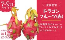 フルーツ好きな人必見！奄美大島から旬のフルーツ全5回定期便