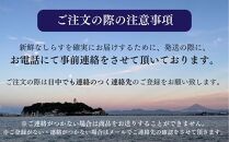 湘南しらすお試しセット（釜揚げしらす180g×4パック、おまかせ海産物）